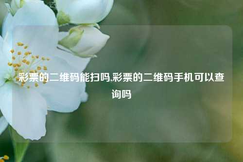 彩票的二维码能扫吗,彩票的二维码手机可以查询吗