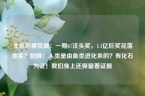 北京彩票狂潮：一期67注头奖，1.1亿巨奖花落谁家？回顾：人类是由鱼类进化来的？有化石为证！我们身上还保留着证据