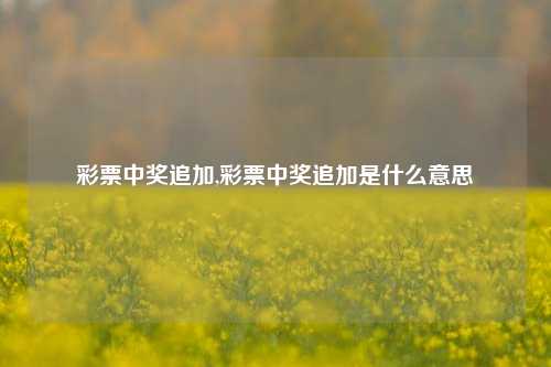 彩票中奖追加,彩票中奖追加是什么意思