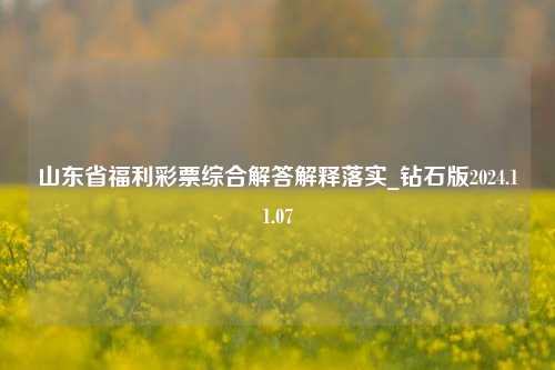 山东省福利彩票综合解答解释落实_钻石版2024.11.07