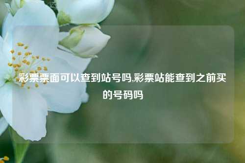 彩票票面可以查到站号吗,彩票站能查到之前买的号码吗