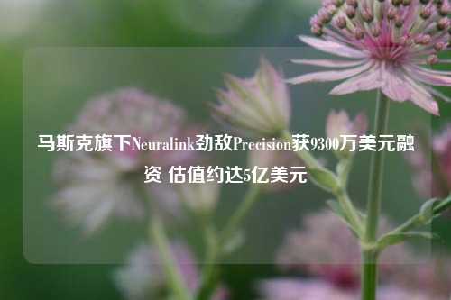 马斯克旗下Neuralink劲敌Precision获9300万美元融资 估值约达5亿美元