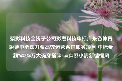 聚彩科技全资子公司彩惠科技中标广东省体育彩票中心即开票高效运营系统服务项目 中标金额7632.56万大码穿搭胖mm森系小清新慵懒风