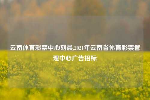 云南体育彩票中心刘晨,2021年云南省体育彩票管理中心广告招标