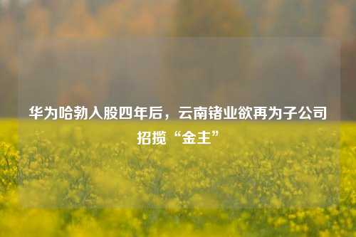 华为哈勃入股四年后，云南锗业欲再为子公司招揽“金主”