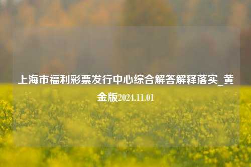 上海市福利彩票发行中心综合解答解释落实_黄金版2024.11.01