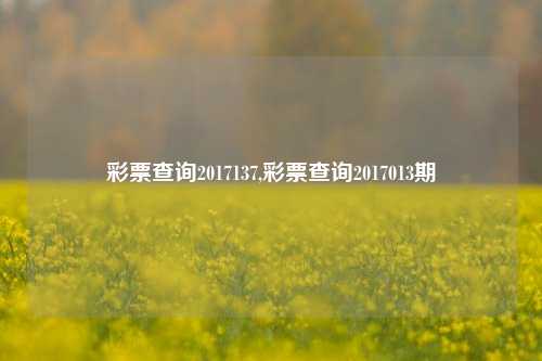 彩票查询2017137,彩票查询2017013期