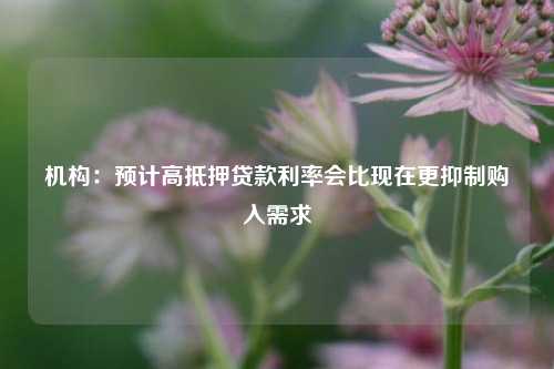 机构：预计高抵押贷款利率会比现在更抑制购入需求