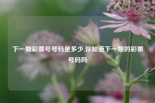 下一期彩票号号码是多少,你知道下一期的彩票号码吗