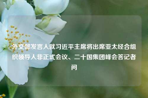 外交部发言人就习近平主席将出席亚太经合组织领导人非正式会议、二十国集团峰会答记者问