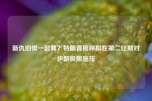 新仇旧恨一起算？特朗普据称拟在第二任期对伊朗极限施压