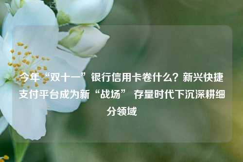 今年“双十一”银行信用卡卷什么？新兴快捷支付平台成为新“战场” 存量时代下沉深耕细分领域