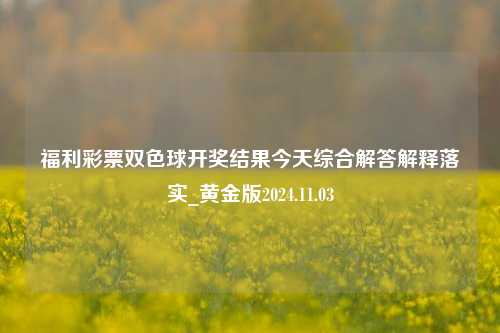 福利彩票双色球开奖结果今天综合解答解释落实_黄金版2024.11.03