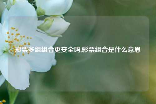 彩票多组组合更安全吗,彩票组合是什么意思