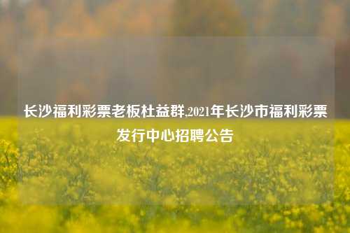 长沙福利彩票老板杜益群,2021年长沙市福利彩票发行中心招聘公告