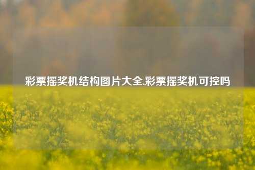 彩票摇奖机结构图片大全,彩票摇奖机可控吗