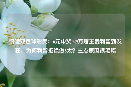 铜陵双色球彩民：6元中奖929万赌王爱利智到发狂，为何利智拒绝做5太？三点原因很黑暗