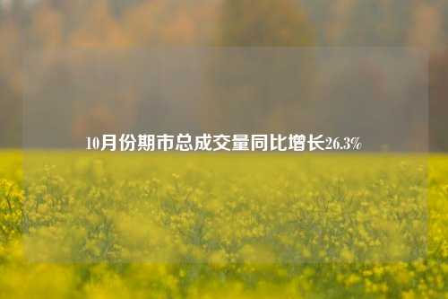 10月份期市总成交量同比增长26.3%