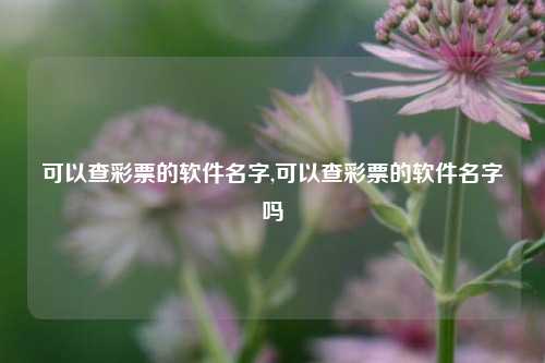 可以查彩票的软件名字,可以查彩票的软件名字吗