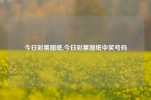 今日彩票图纸,今日彩票图纸中奖号码