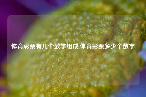 体育彩票有几个数学组成,体育彩票多少个数字