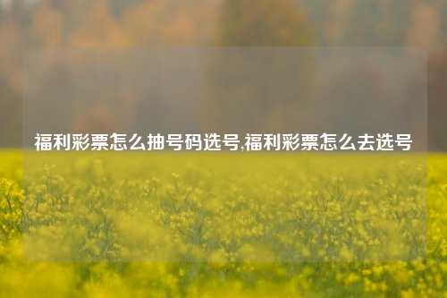 福利彩票怎么抽号码选号,福利彩票怎么去选号