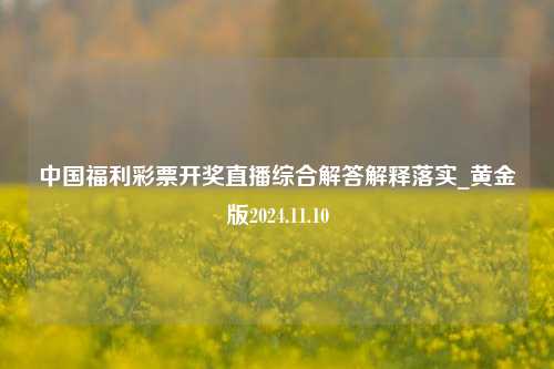 中国福利彩票开奖直播综合解答解释落实_黄金版2024.11.10