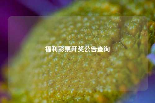 福利彩票开奖公告查询