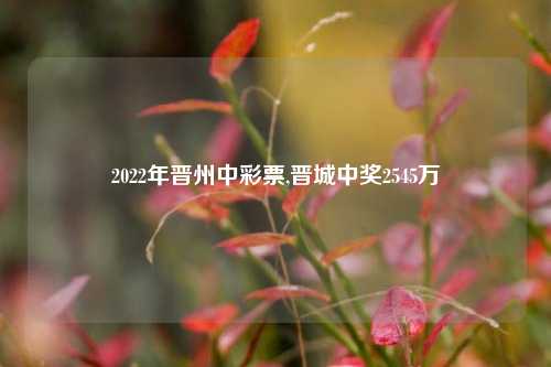 2022年晋州中彩票,晋城中奖2545万