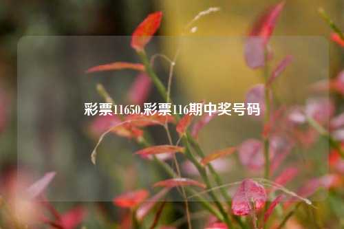 彩票11650,彩票116期中奖号码