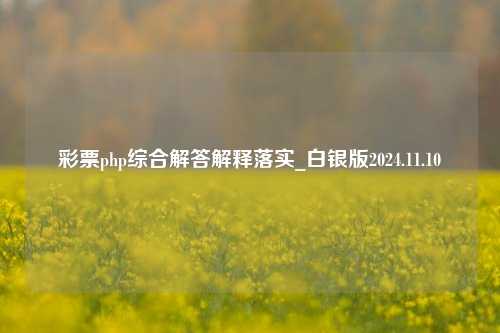 彩票php综合解答解释落实_白银版2024.11.10