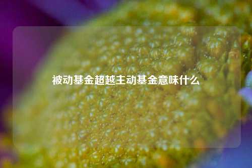 被动基金超越主动基金意味什么