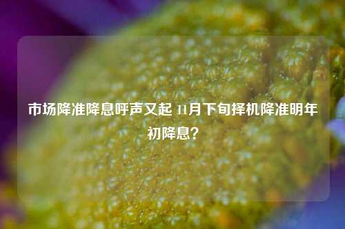 市场降准降息呼声又起 11月下旬择机降准明年初降息？