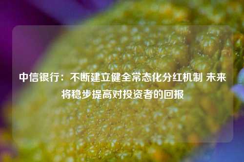 中信银行：不断建立健全常态化分红机制 未来将稳步提高对投资者的回报