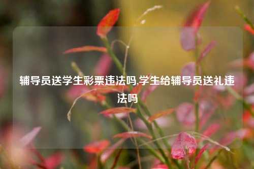 辅导员送学生彩票违法吗,学生给辅导员送礼违法吗