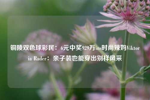 铜陵双色球彩民：6元中奖929万ins时尚辣妈Viktoria Rader：亲子装也能穿出别样风采