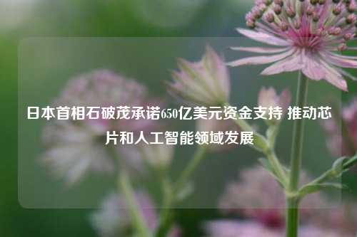 日本首相石破茂承诺650亿美元资金支持 推动芯片和人工智能领域发展