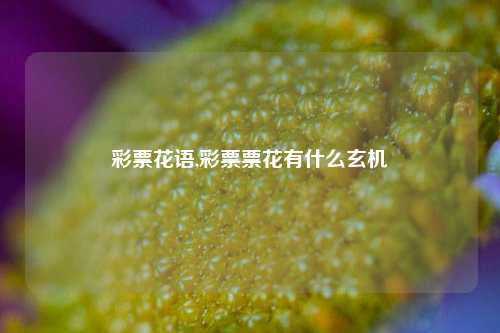 彩票花语,彩票票花有什么玄机