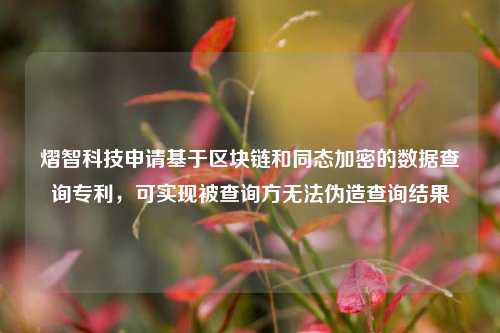 熠智科技申请基于区块链和同态加密的数据查询专利，可实现被查询方无法伪造查询结果