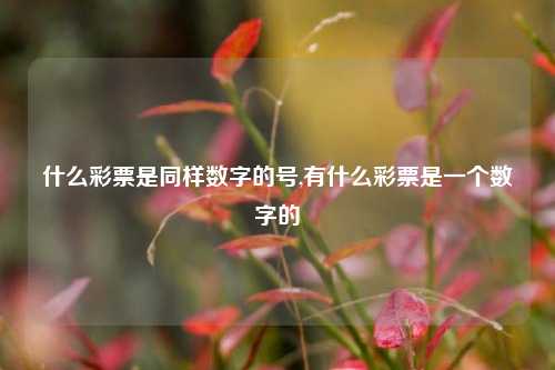 什么彩票是同样数字的号,有什么彩票是一个数字的