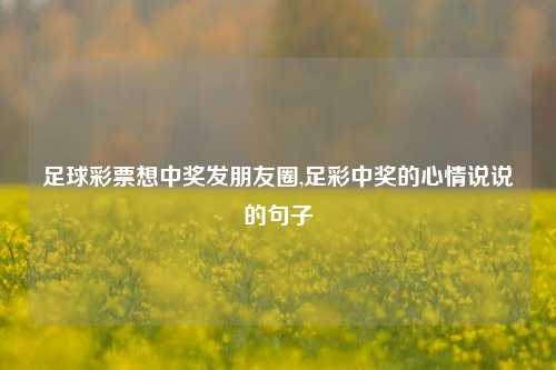 足球彩票想中奖发朋友圈,足彩中奖的心情说说的句子