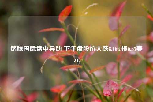 铭腾国际盘中异动 下午盘股价大跌8.16%报6.53美元