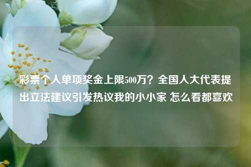 彩票个人单项奖金上限500万？全国人大代表提出立法建议引发热议我的小小家 怎么看都喜欢