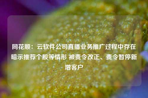 同花顺：云软件公司直播业务推广过程中存在暗示推荐个股等情形 被责令改正、责令暂停新增客户