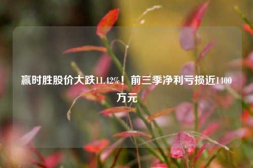 赢时胜股价大跌11.42%！前三季净利亏损近1400万元