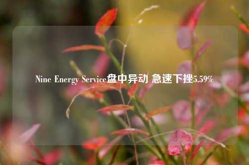 Nine Energy Service盘中异动 急速下挫5.59%