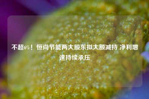 不超6%！恒尚节能两大股东拟大额减持 净利增速持续承压