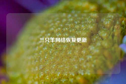 三只羊网络恢复更新