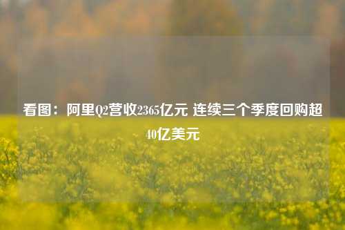 看图：阿里Q2营收2365亿元 连续三个季度回购超40亿美元