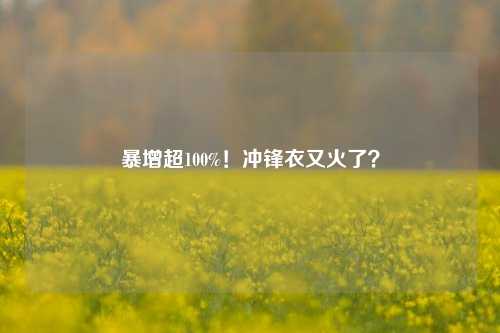 暴增超100%！冲锋衣又火了？